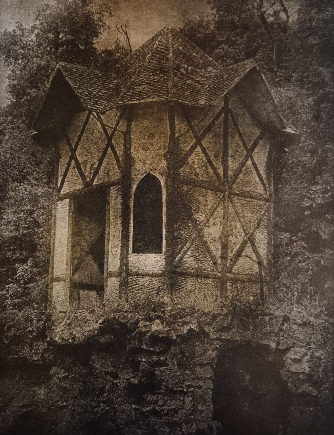 Ukázka olejotiskové fotografie